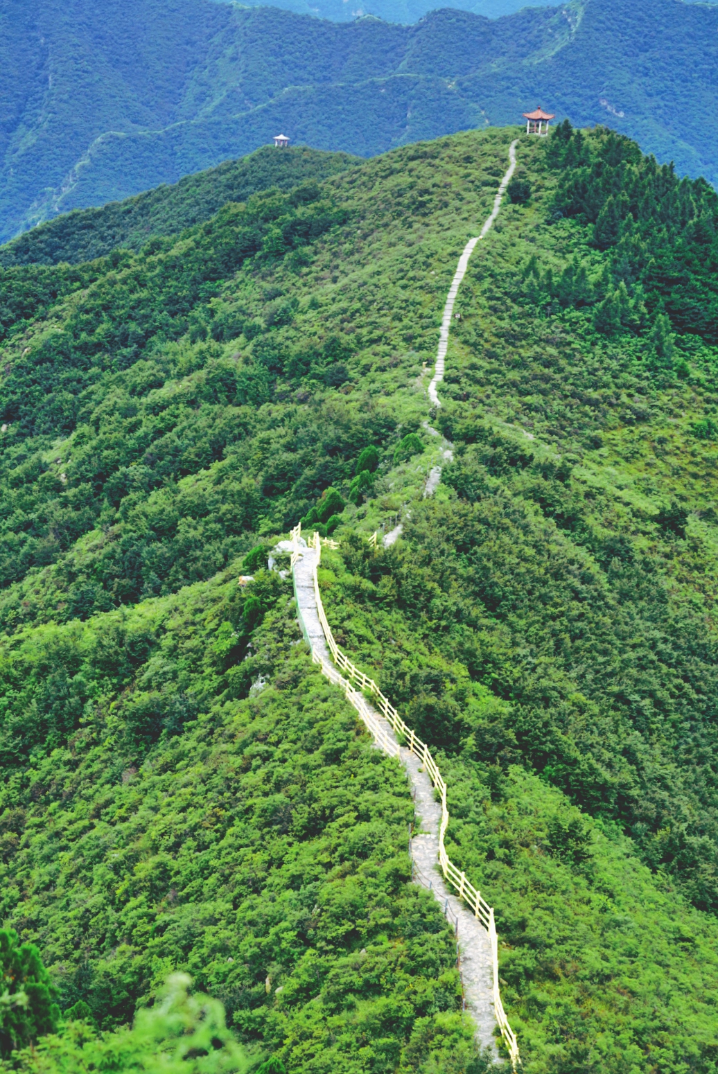 大森林里的小木屋秋雨后美成让人窒息云海小木屋离北京120公里