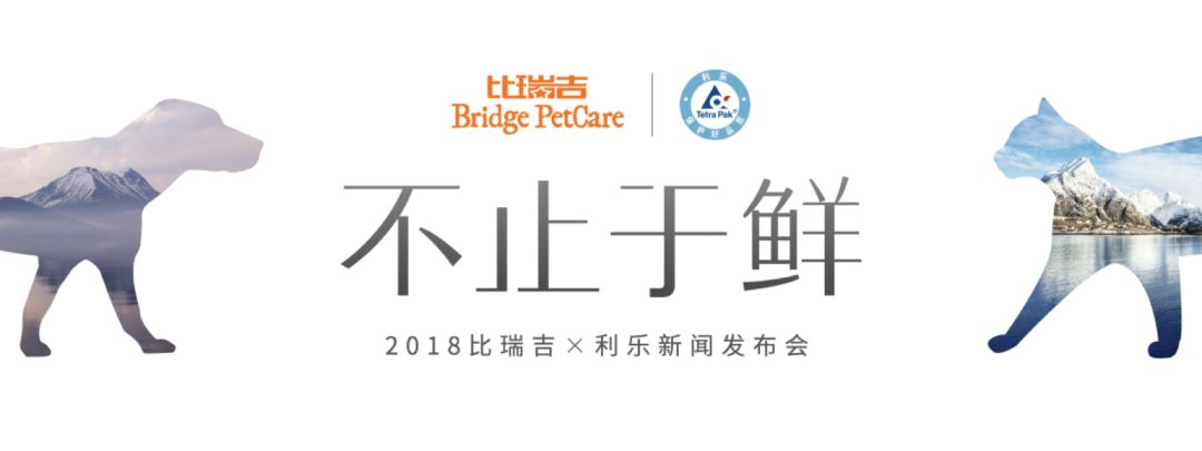 比瑞吉活动价,比瑞吉宠粮