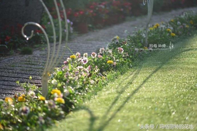 园丁修剪灌木,开满鲜花的小路教学设计一等奖