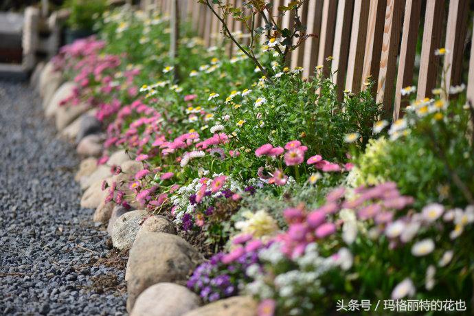 园丁修剪灌木,开满鲜花的小路教学设计一等奖