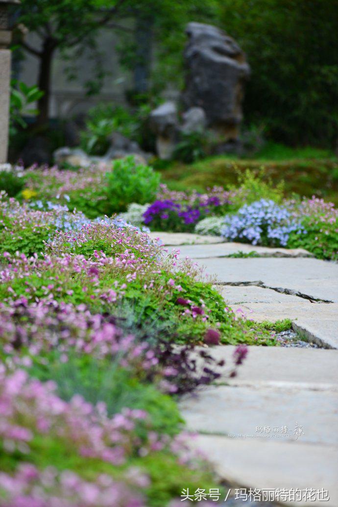 园丁修剪灌木,开满鲜花的小路教学设计一等奖