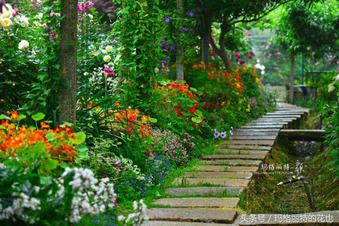 开满鲜花的小路教学设计一等奖,园丁培植万朵花