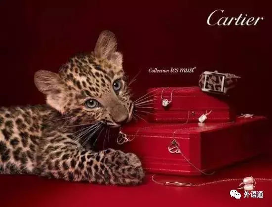 Chanel、Hermès、Dior……这些大牌你叫得出口吗？｜中传云平台