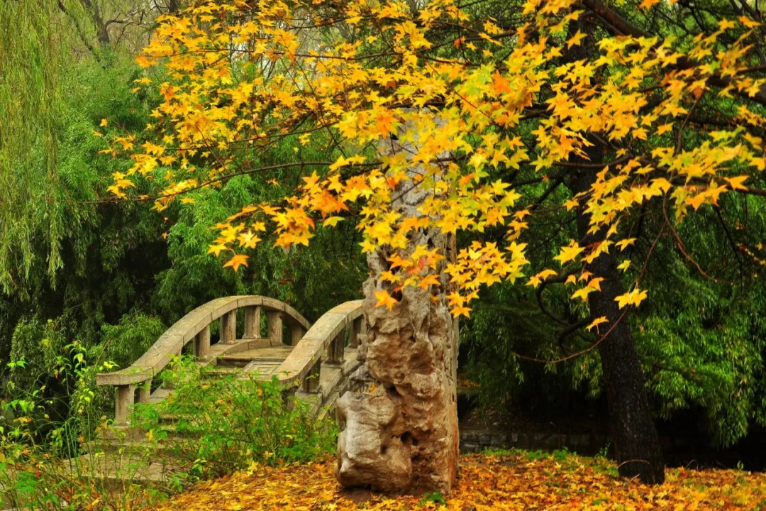 管恩锋简介,管恩锋品读好诗词