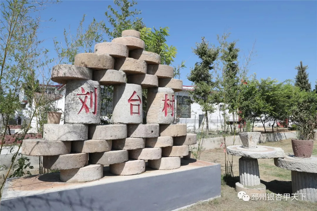 来不及解释了快上车原版视频,来不及解释了快上车动态图