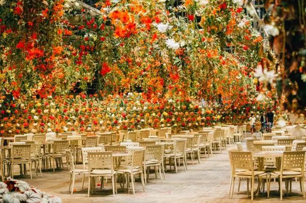 名古屋亲子游好去处,名古屋作为日本的一个小众旅行地