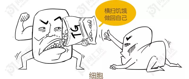 甘油三酯升高的原因动画,医学科普甘油三酯