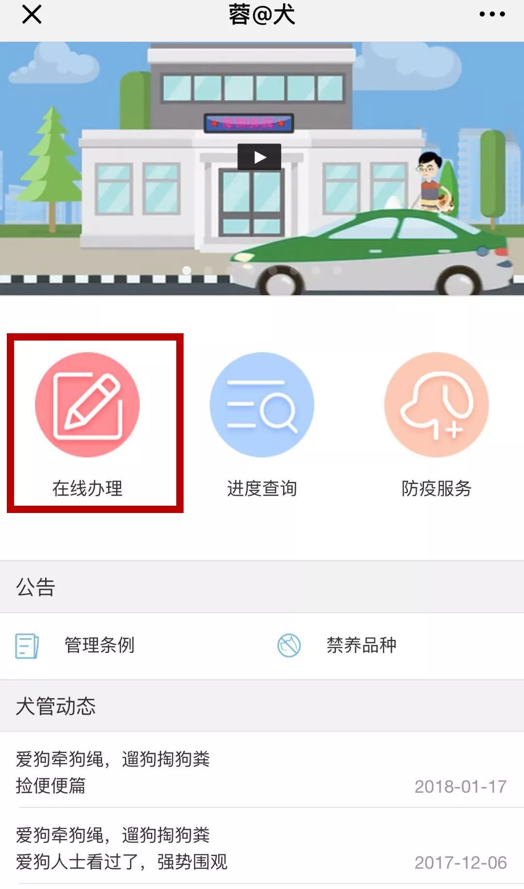 办理狗狗证去哪里办,成都哪种狗可以办理狗证