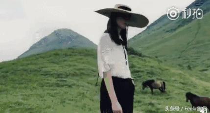 嵛山岛万亩草场,嵛山岛中国十大最美岛屿之一