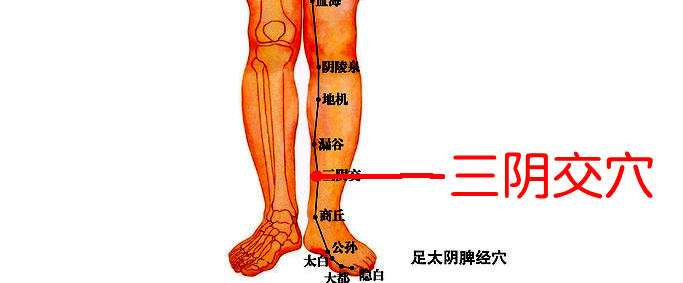 中医养生16个穴位帮你排湿气,痰湿体质按什么穴位可以祛湿