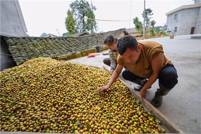 玉屏，为什么能赢？