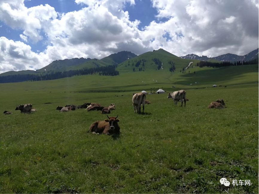 骑自行车穿越罗布泊路线,trk502骑行视频第一视角
