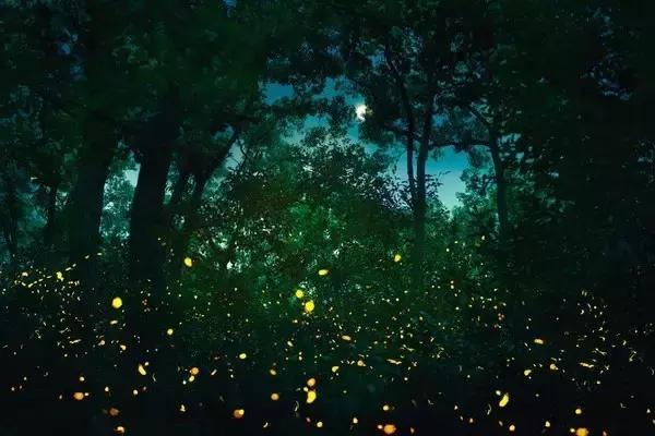 必须去沙巴的十个理由,去沙巴旅游的原因