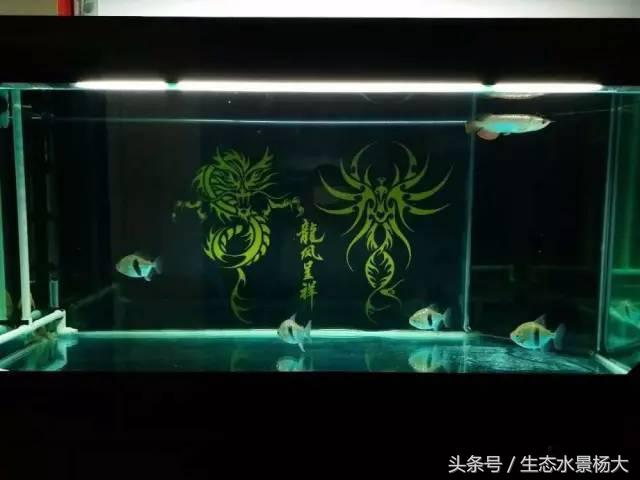 三重溢流区如何消除噪音没有阀门,下过滤鱼缸溢流管噪音大怎样解决