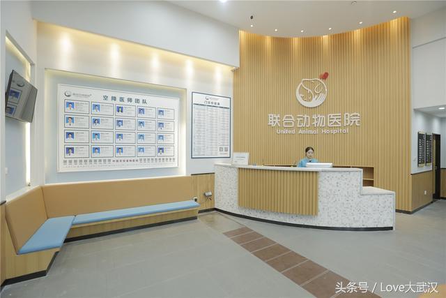 爱宠宠物医院服务中心,爱宠宠物医疗中心