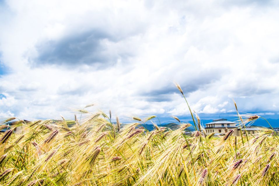 不用远赴土耳其的热气球,不用远赴千里看风景