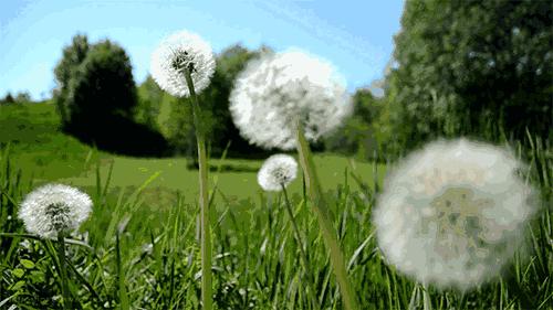 天呐！大爷3年吃掉100多支“皮炎平”软膏！