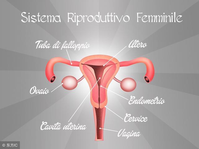乳腺癌和宫颈癌检查注意事项,打宫颈癌疫苗检查前需要注意什么