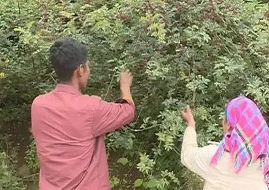 「丽江壹条」飞虎绝杀四川九牛主场三连胜！/无户口人员落户问题丽江公安这波操作666