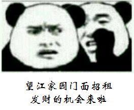 沙市区望江国际门面招租,门面招租最新信息