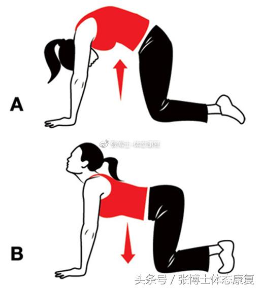 运动康复学治疗腰间盘突出,运动康复腰椎间盘突出