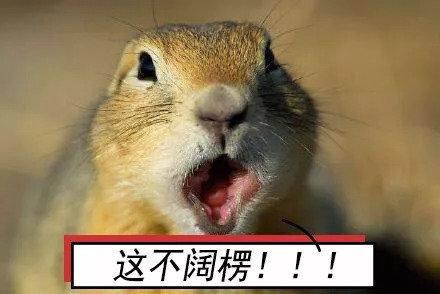 盘点网络中的搞笑段子笑死人系列,盘点那些爆笑网络的段子