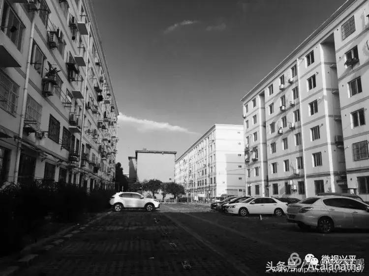 兴平：我的故乡我的云一一70后纤维厂纪事