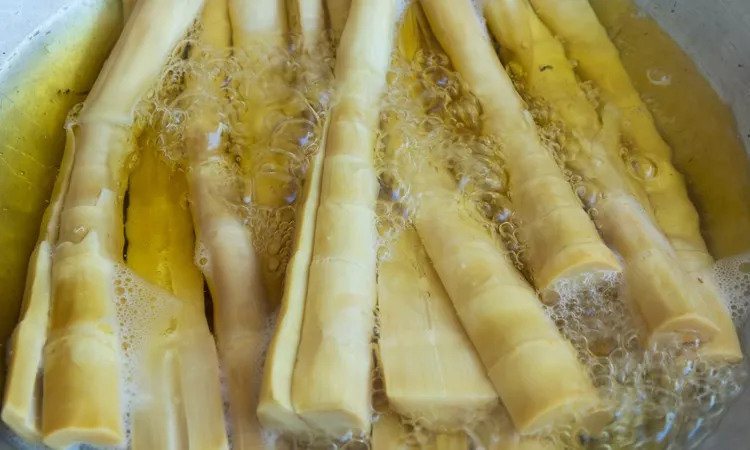 孩子吃了新鲜竹笋肚子不舒服,儿童吃竹笋导致呕吐怎么处理