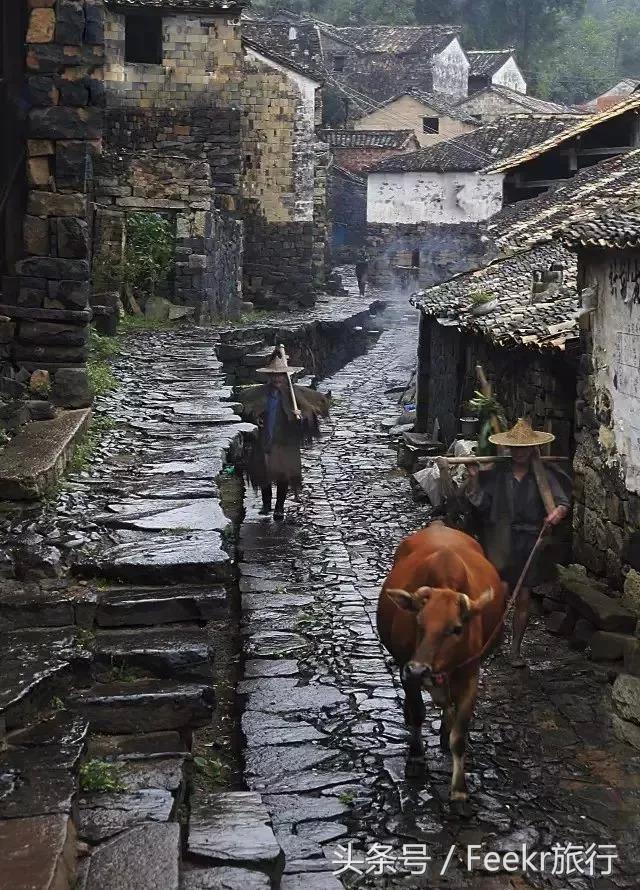 纾愬畨绉樺,纾愬畨姹熷崡绉樺