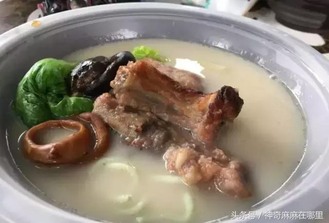 珠海长隆旅游攻略3天自由行,亲子游珠海长隆一日游攻略