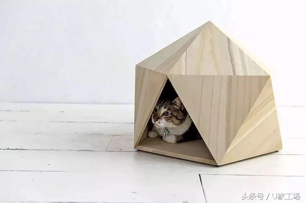 便宜又好用的猫窝有哪些,这六种猫窝你一定买过