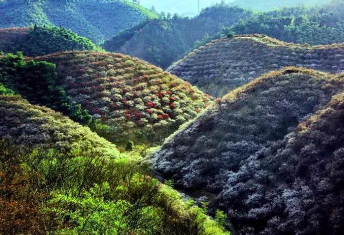 99%的人念错了名字！这份和浙江有关的考试，你可能要不及格！