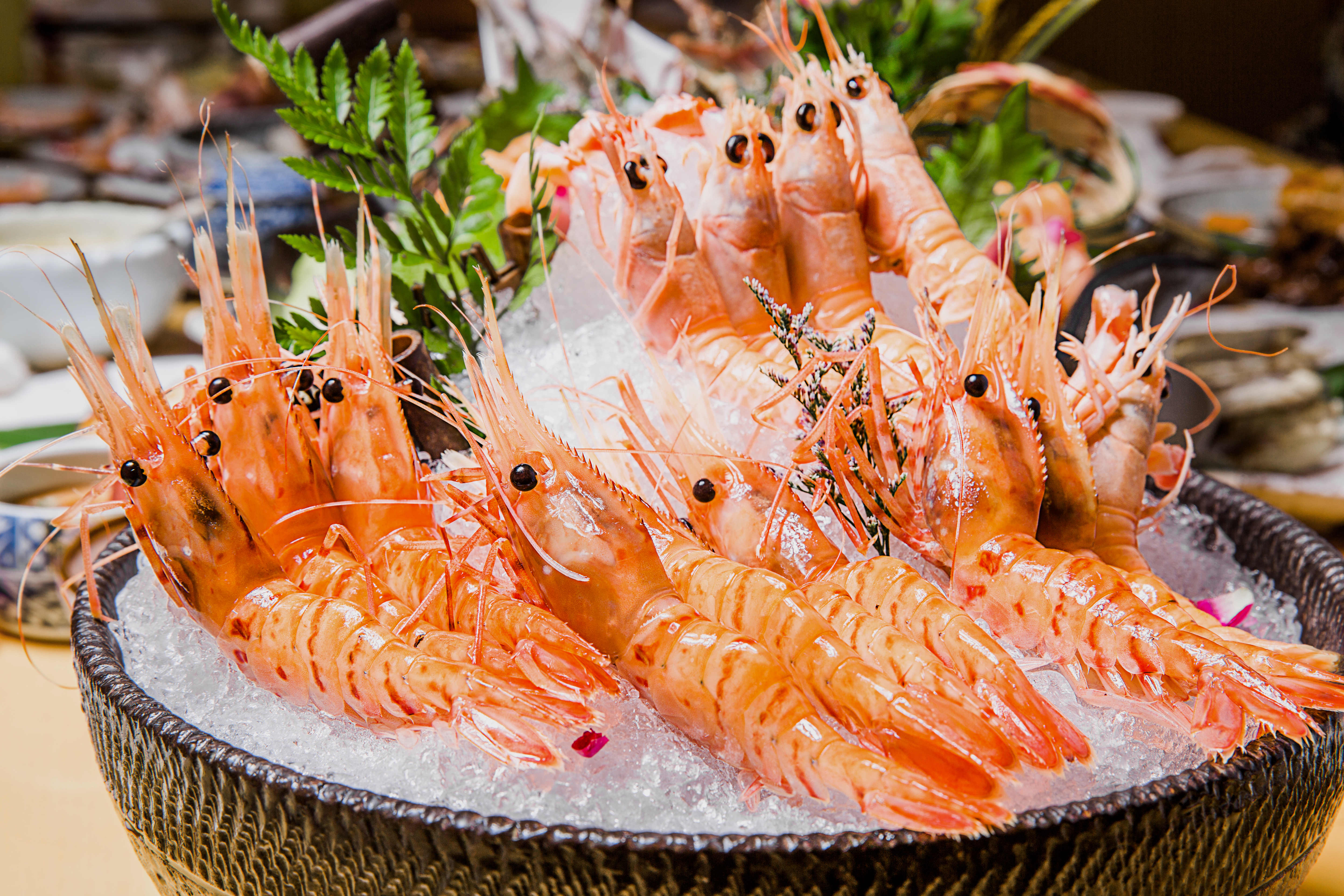 乌鲁木齐最好的寿司店,寿司乌鲁木齐寿司