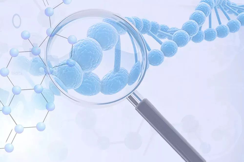 10岁男孩身上大面积发痒,男孩手脚浑身痒起疙瘩是什么原因