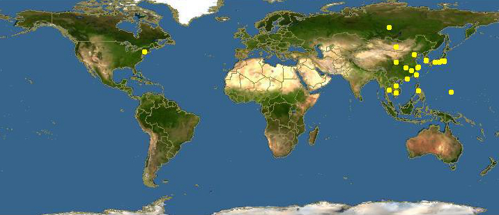 海边贝类种类,各种贝类的名称