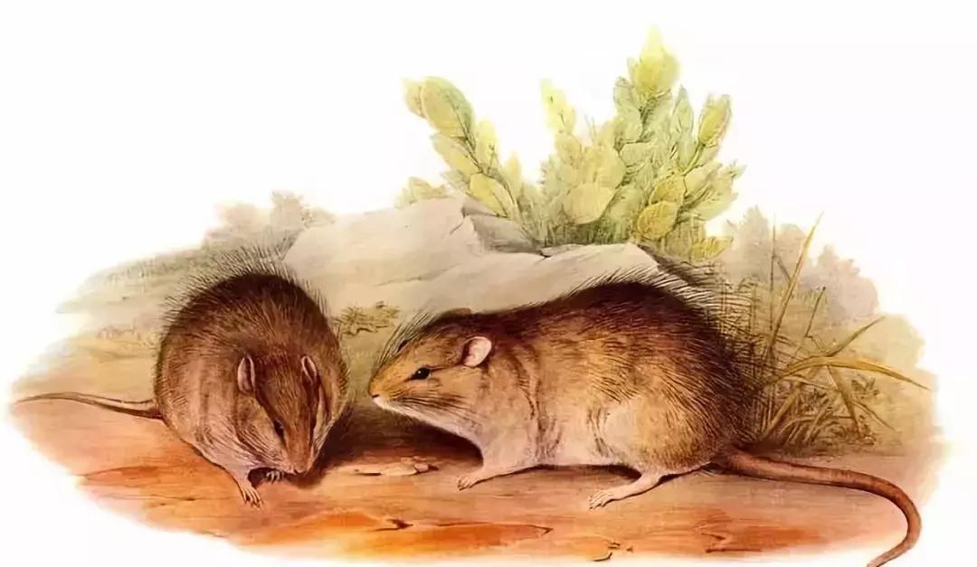 成事在人富贵在天,成事在人富贵在天原唱