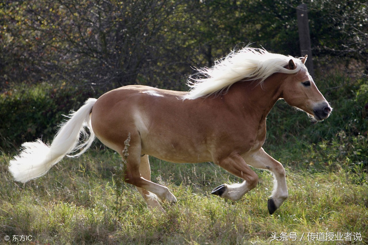 趣味识字四年级,人教精通版四年级语文上册识字表
