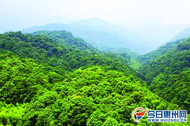 适合周末带孩子出去惠州玩的地方,惠州带小孩去哪玩合适景点推荐