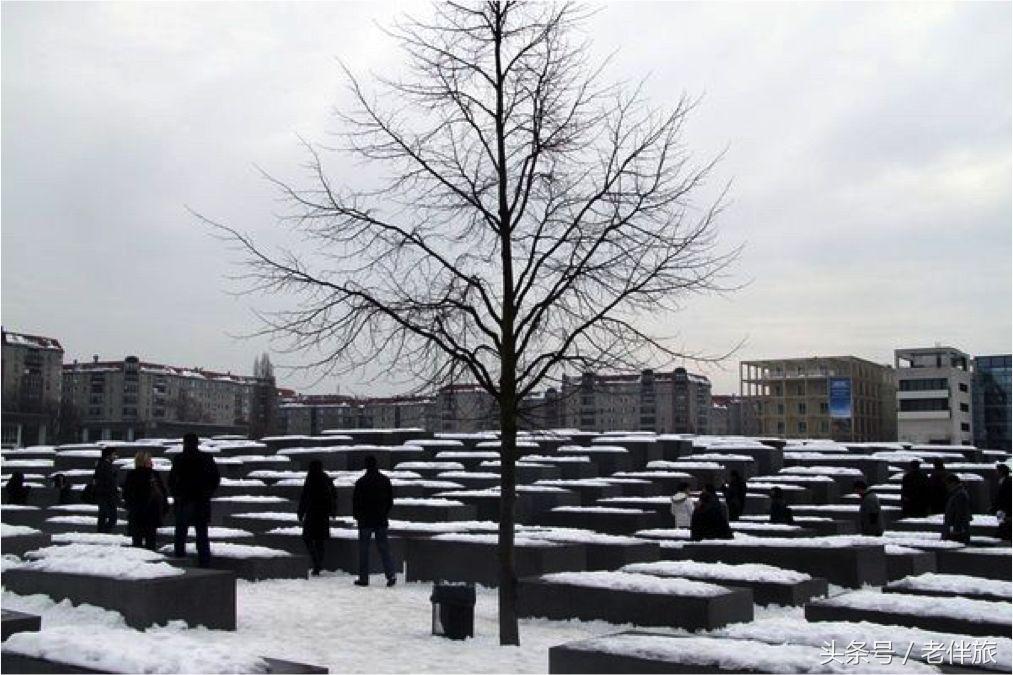 公益、毒枭、足球、电影——“老伴旅”分享“壮游者”四个好故事