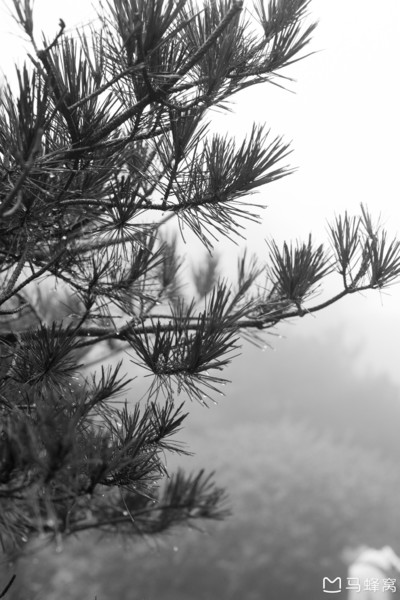 六小爷游皖南行,六小爷唱的歌