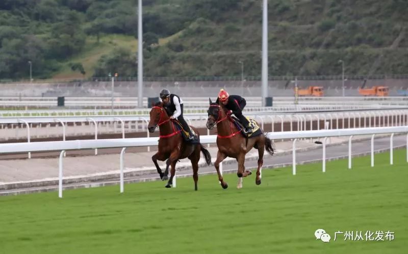 棣欐腐璧涢┈,棣欐腐璧涢┈姣旇禌瑙勫垯