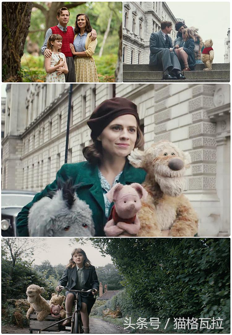 世界上最可爱的小熊电影,电影中的可爱的小熊