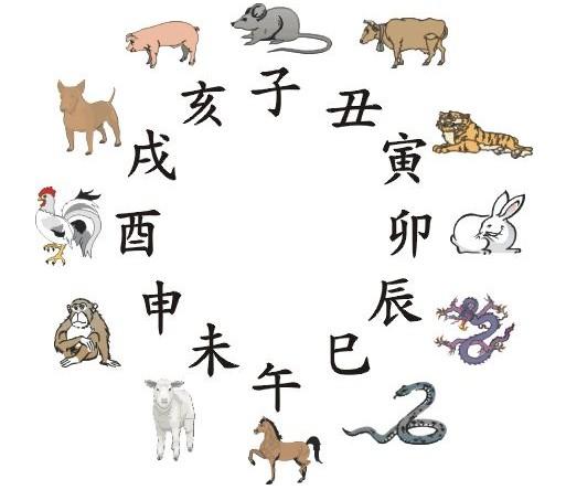 12生肖配对法,12生肖最佳配对方案