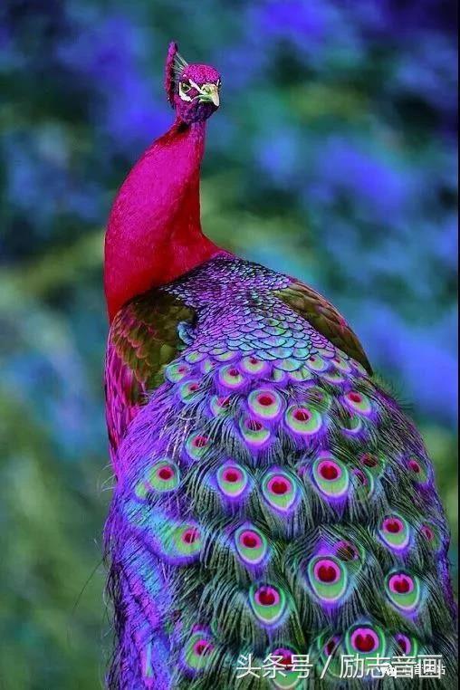 综合知识78集，赶紧保存，早晚用得上！