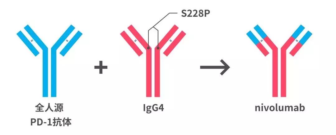 中国癌症治疗最新突破,抗癌新药pd-1是哪国发明的