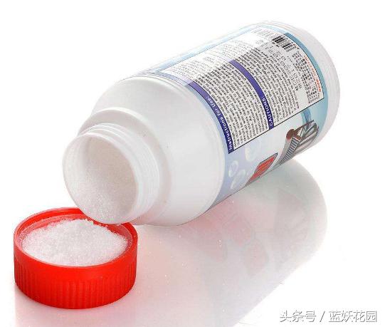 杜鹃花夏季花蕾不开叶子发黄发焦,栀子花杜鹃花怎么养护