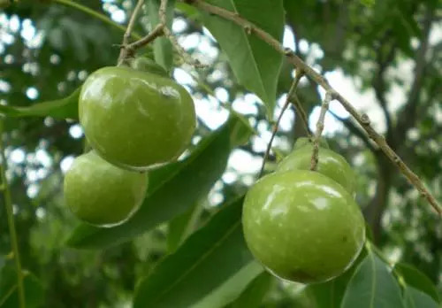 大促必买攻略,大促优惠力度大