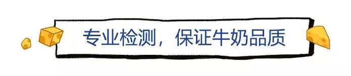 荷兰牛奶变奶粉,荷兰牛乳怎么变成奶粉