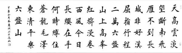 杨兰海书法入木三分行云流水