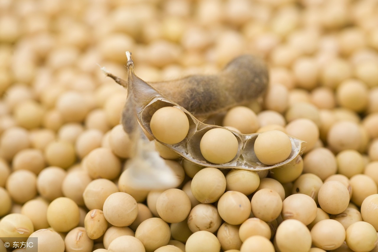 十种食物让女人聪明又漂亮,推荐造血食物